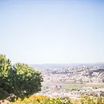 Domaine Des Oliviers