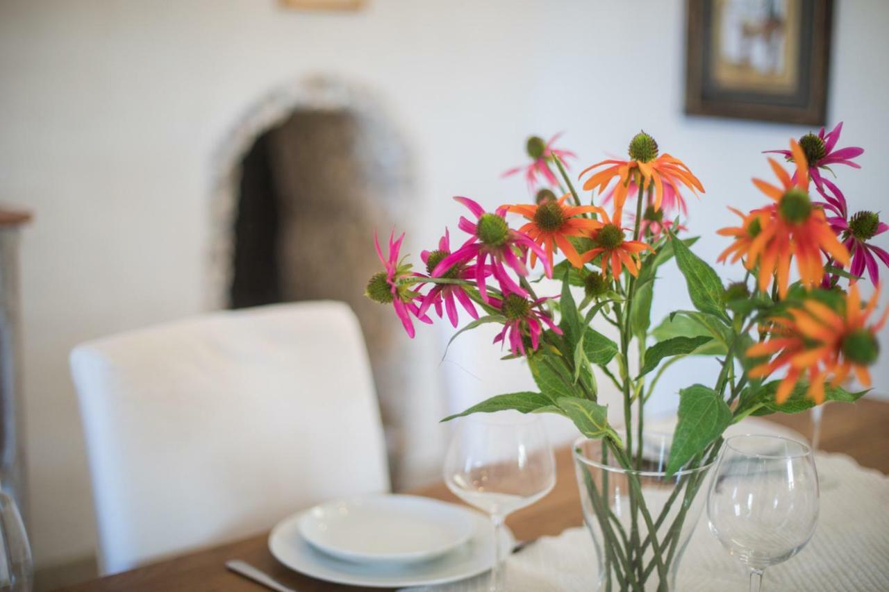 Apartment Domaine Des Oliviers